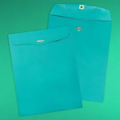 JAM Paper Open End Clasp Catalog Envelope, 9