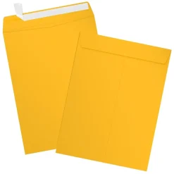 JAM Paper Open-End Envelopes, 9 x 12, Sunflower Yellow, 50 Pack (EX4894-12-50)* Business