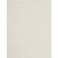 Best Parchment 65 lb. Cardstock Paper, 8.5