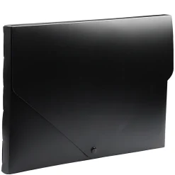 JAM Paper Plastic Portfolio Case with Snap Closure, Black (2254027)