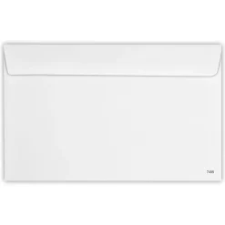 JAM Paper Security Tinted Booklet Envelope 5 3/4