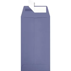 JAM Paper Self Seal #7 Coin Envelopes, 3 1/2" x 6 1/2", Purple, 250/Pack (7CO-106-250)* Business