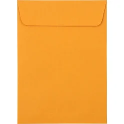 JAM Paper Self Seal Catalog Envelopes, 5 1/2" x 7 1/2", Brown Kraft Manila, 100/Pack (400238465D)* Catalog