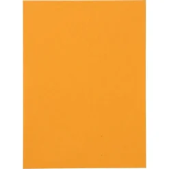 JAM Paper Self Seal Catalog Envelopes, 5 1/2