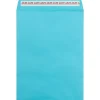 JAM Paper Self Seal Catalog Envelope, 9" x 12", Blue, 50/Pack (188047509I)* Catalog