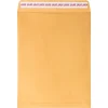 JAM Paper Self Seal Catalog Envelopes, 10" x 13", Brown Kraft Manila, 100/Pack (13034233D)* Catalog