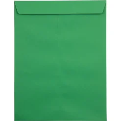 JAM Paper Self Seal Catalog Envelope, 9