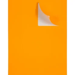 JAM Paper Shipping Labels, Large, 3 1/3 x 4, , 6 Labels/Sheet, 20 Sheets/Pack (354328043)* Shipping Labels