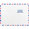 JAM Paper Tear-Proof Tyvek Open End Catalog Envelopes, 9" x 12", White Airmail, 10/Pack (2131102A)* Catalog