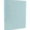Outlet Vellum Bristol Cardstock, 67lb, 100/pack (169820G) Card Stock