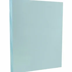 Outlet Vellum Bristol Cardstock, 67lb, 100/pack (169820G) Card Stock