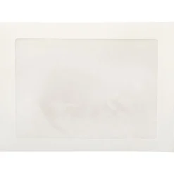 JAM Paper Window Envelope, 9" x 12", White, 25/Pack (223932)* Window
