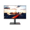 Lenovo {{label}}* Flat Monitors