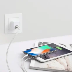 LAX Gadgets LAX Dual USB Port Wall Charger 2.4A for Smartphones, White (LAX2PORTWALLWHT)