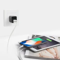 LAX Gadgets LAX Dual USB Port Wall Charger 2.4A for Smartphones, Black (LAX2PORTWALLWHT)