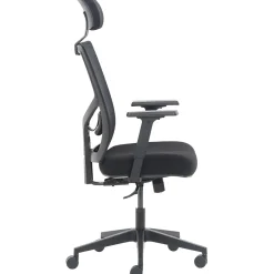 Clearance Ergonomic Mesh Swivel Task Chair, (60021) Ergonomic Chairs