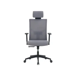 Discount Mesh Back Molded Foam Computer and Desk Chair, Gray (51448) Office Chairs