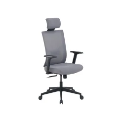 Discount Mesh Back Molded Foam Computer and Desk Chair, Gray (51448) Office Chairs