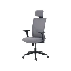 New Mesh Back Molded Foam Computer and Desk Chair, Gray (51448) Ergonomic Chairs