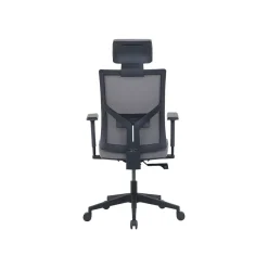 New Mesh Back Molded Foam Computer and Desk Chair, Gray (51448) Ergonomic Chairs