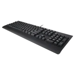 Lenovo Preferred Pro II Ergonomic Keyboard, Black (4X30M86879)* Ergonomic Keyboards