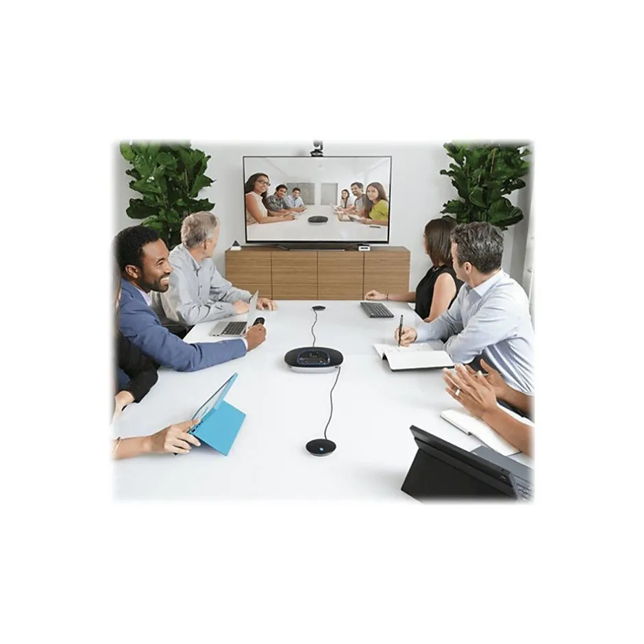 Logitech Expansion Microphone for GROUP System, Black, 2/Set (989-000171)* Webcams