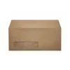 LUX 4 1/8" x 9 1/2" #10 Window Envelopes, Pastel Green, 50/Pack* Window