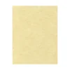 Outlet 65 lb. Cardstock Paper, 8.5" x 11", Gold Parchment, 50 Sheets/Pack (81211-C-41-50) Card Stock