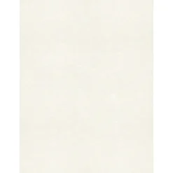 105 lb. Cardstock Paper, 8.5" x 11", Quartz Metallic, 50 Sheets/Pack (81211-C-72-50) Card Stock