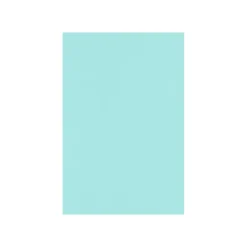 New 100 lb. Cardstock Paper, 12" x 18", Sea, 500 Sheets/Pack (1218-C-113-500) Card Stock