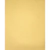 Outlet 105 lb. Cardstock Paper, 8.5" x 11", Gold Metallic, 250 Sheets/Pack (81211-C-40-250) Card Stock