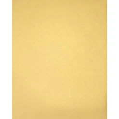 Outlet 105 lb. Cardstock Paper, 8.5" x 11", Gold Metallic, 250 Sheets/Pack (81211-C-40-250) Card Stock