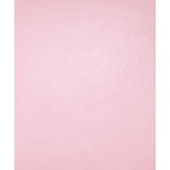 Discount 105 lb. Cardstock Paper, 8.5" x 11", Rose Quartz Metallic, 1000 Sheets/Pack (81211-C-75-1000) Card Stock