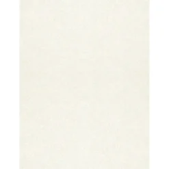 Discount 105 lb. Cardstock Paper, 11" x 17", Quartz Metallic, 500 Sheets/Ream (1117-C-M08-500) Card Stock