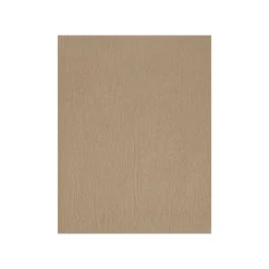 Hot 67 lb. Paper, 8.5" x 11", Oak Woodgrain, 50 Sheets/Pack (81211-P-S01-50) Card Stock