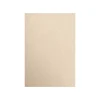 Clearance 80 lb. Paper, 13" x 19", Taupe Metallic, 250 Sheets/Pack (1319-P-M09-250) Card Stock