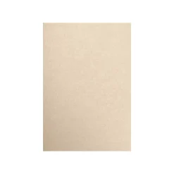 Clearance 80 lb. Paper, 13" x 19", Taupe Metallic, 250 Sheets/Pack (1319-P-M09-250) Card Stock