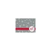 LUX #17 Mini Gift Card Envelopes, 2 11/16" x 3 11/16", Silver Snowflake, 1000 Qty (LEVC-H02-1M)* Business