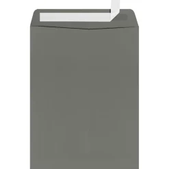 LUX 9" x 12" Open End Window Envelopes, Smoke Gray, 250/Box (-1590-22-250)* Security Tinted