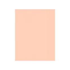 New Colored Paper, 32 lbs., 8.5" x 11", Blush, 500 Sheets/Pack (81211-P-114-500) Multipurpose Paper