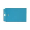 LUX 70lbs. 6" x 9" Clasp Envelopes, Bright Blue, 500/BX* Catalog