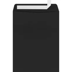 LUX Open End Window Envelopes 9" x 12", Midnight Black, 500/Box (-1590-B-500)* Window