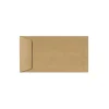 LUX Open End Window Envelopes 6" x 11.5", Nude Tan (61112-GB-500)* Catalog