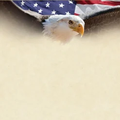 Clearance Great Papers!® Flying Eagle with Gold Foil Certificate, 8.5"H x 11"W, 15 count (2017042) Awards & Certificates