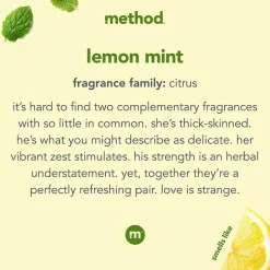 Method Liquid Dish Soap, Lemon Mint, 18 oz. (10186)