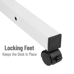 Woodland Collection 21