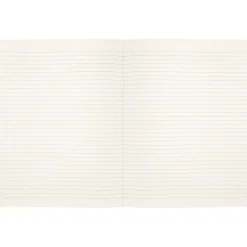 Moleskine Limited Edition Harry Potter Wingardium Leviosa Journal, 7.5