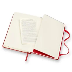 Moleskine Pocket 1-Subject Professional Notebooks, 3.5