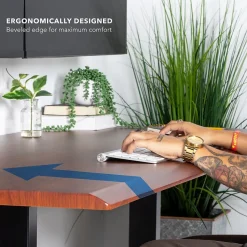 Discount Dual Motor 60