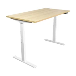 Outlet Ultimate 55"W Electric Rectangular Adjustable Standing Desk, (MI-18077) Standing Desks